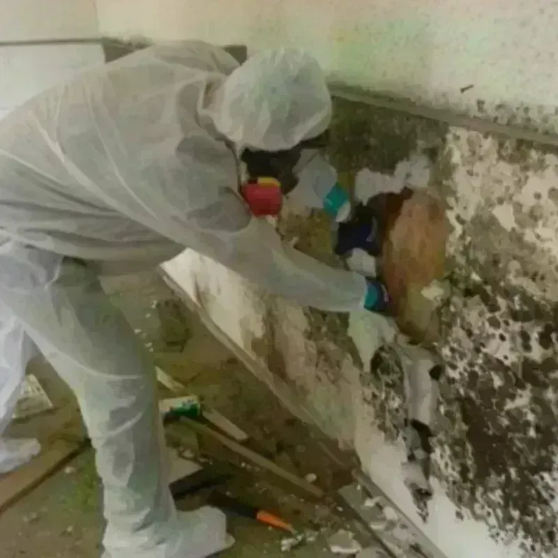 Mold Remediation and Removal in Clinton, OK