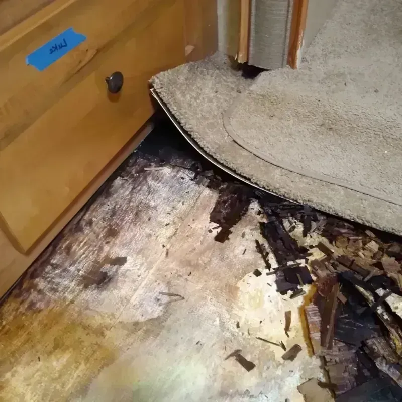 Wood Floor Water Damage in Clinton, OK